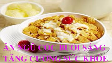 Tác dụng tuyệt vời của ngũ cốc mà bạn chưa biết? tại sao chúng ta lên ăn ngũ cốc vào mỗi buổi sáng