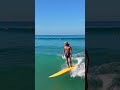 Longboard surfing next to eagle rays in Santa Teresa, Costa Rica.