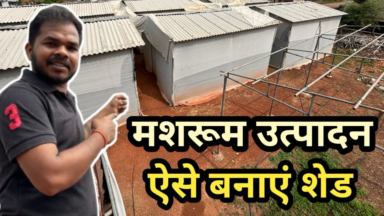 How To Make Shade For Mushroom Farming YouTube how-to-make-shade-for-mushroom-farming-youtube