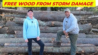 Free Wood From Storm Damage  (And a Bonus!!)