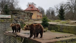 Калининградский зоопарк