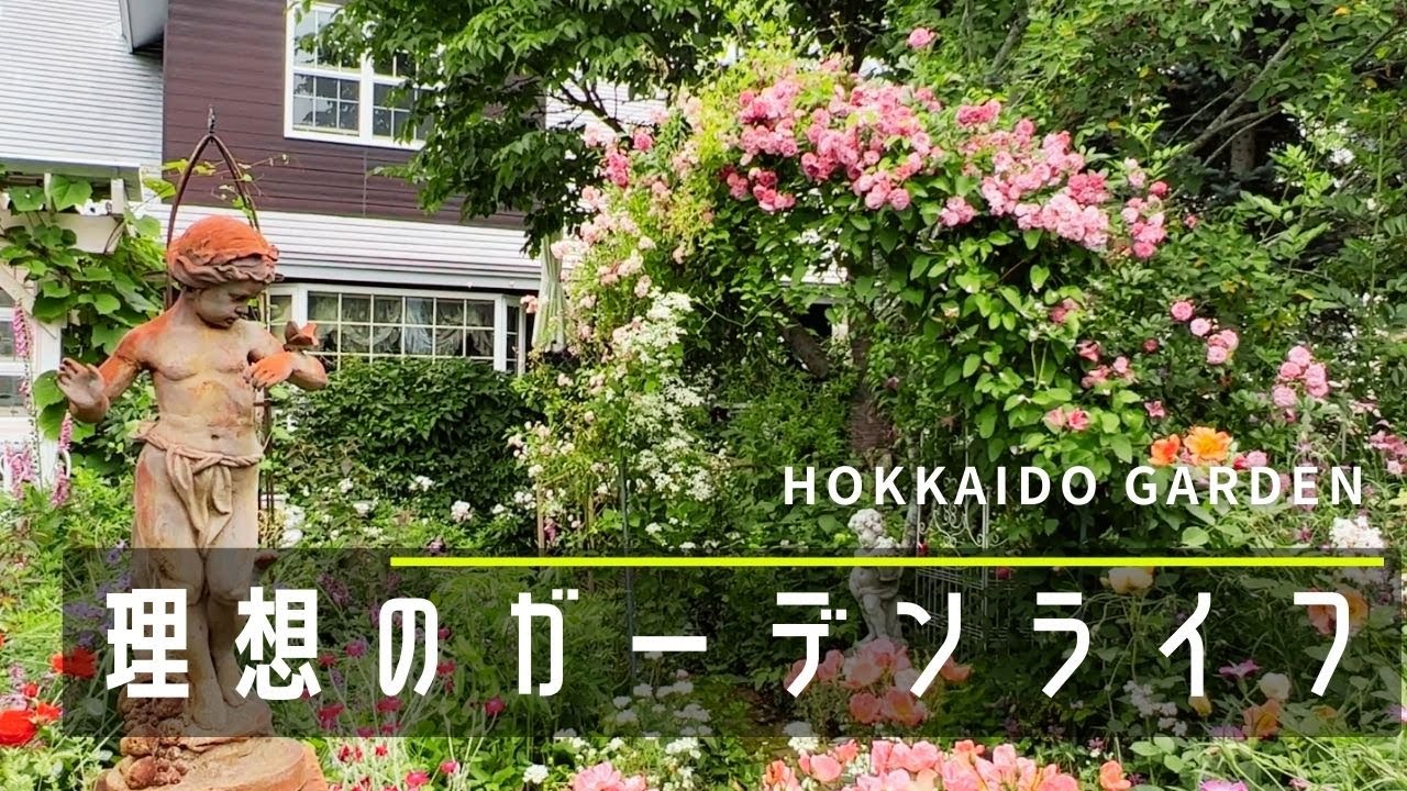 【個人庭】愛情たっぷりバラの素敵なお庭。極寒の地での庭づくり。【オープンガーデン】