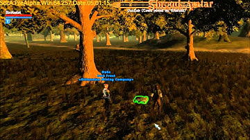 Shroud of the Avatar: Town Management Tutorial