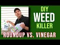 Quick Tip: Is DIY vinegar weed killer better than Roundup?