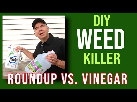 Quick Tip: Is DIY vinegar weed killer better than Roundup?