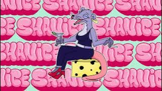 Shanice (feat. Dr Ofori) - Badger x Serum x Inja [Official Visualiser]