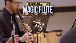 #TSODailyDose MOZART The Magic Flute for Winds, No. 8 Bei Männern welche Liebe fühlen