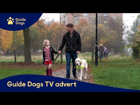 Guide Dogs - By My Side | 30" TV advert | Accessible Version