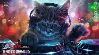 UnderWorld Music Mix 2024 🎧 EDM Remixes of Popular Songs 🎧 EDM Gaming Music Mix