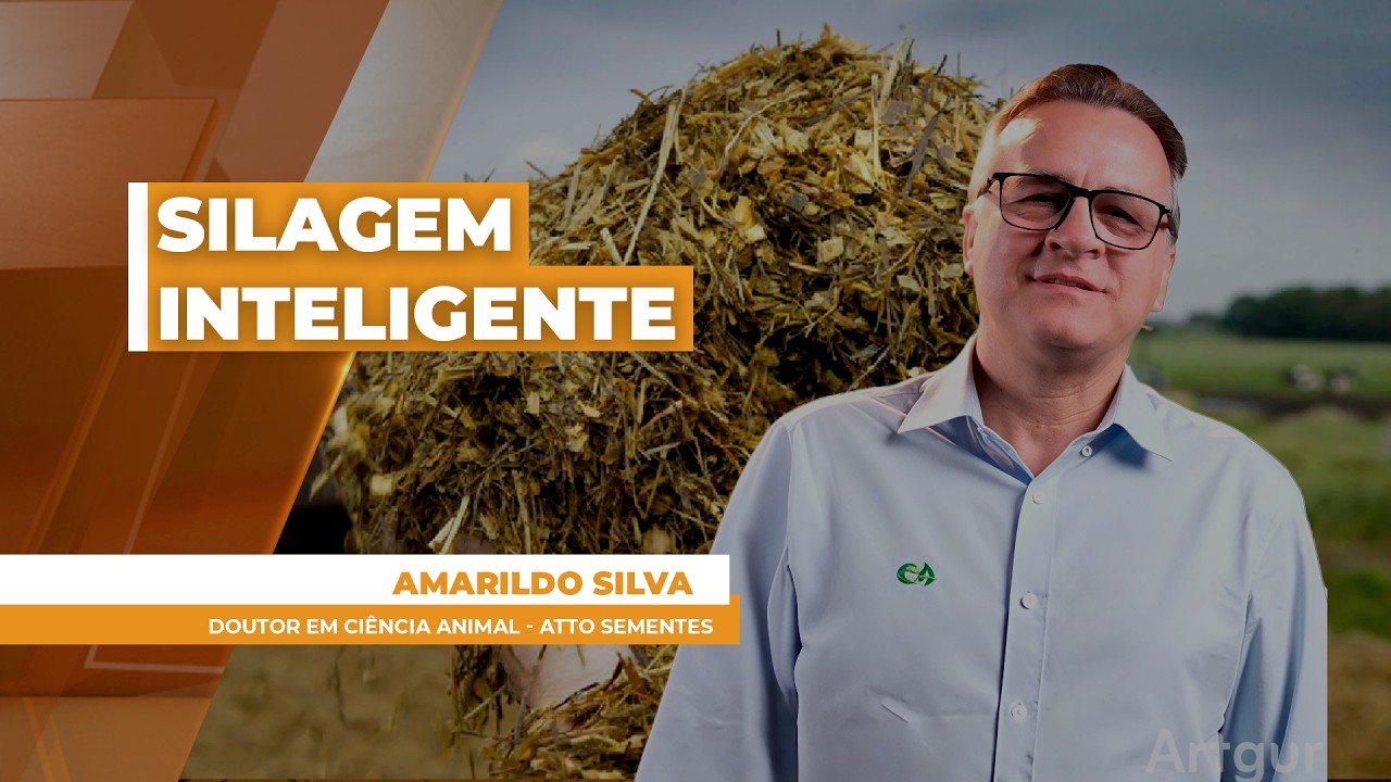 Silagem inteligente: como reduzir custo e risco na pecuária intensiva