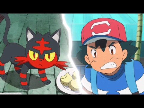 Litten Evolution Chart Sun