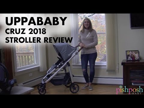 cruz stroller review