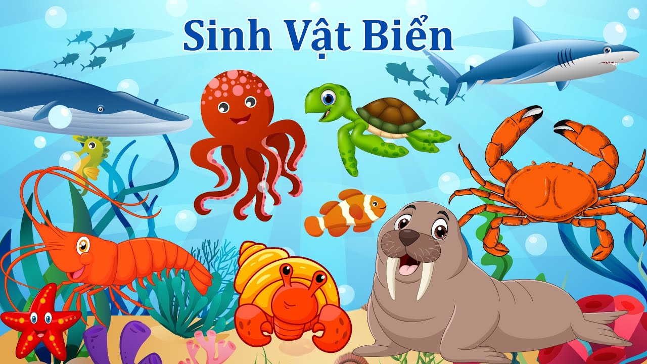 Bé Học Tên Các Sinh Vật Biển | Dạy Bé Cá, Cua, Mực, Tôm, Ốc, Cá Mập, Bạch Tuộc...