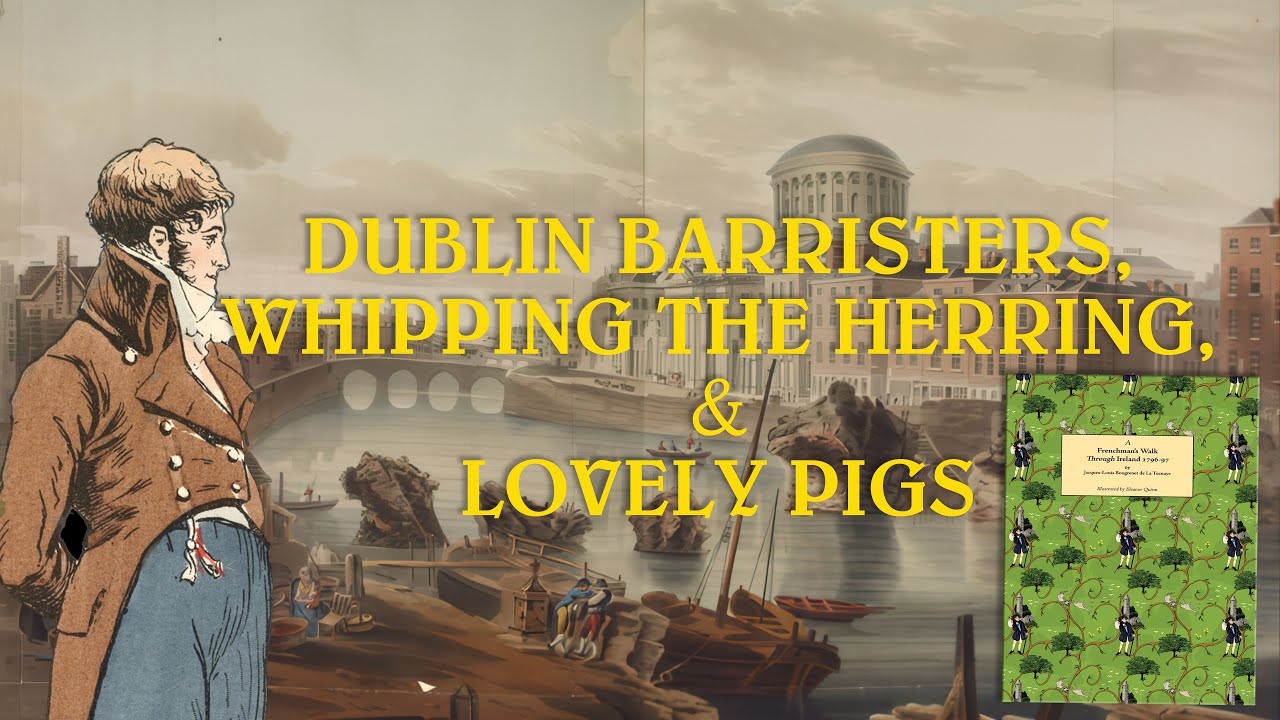 Dublin Barristers, Whipping the Herring, and Irish Pigs 