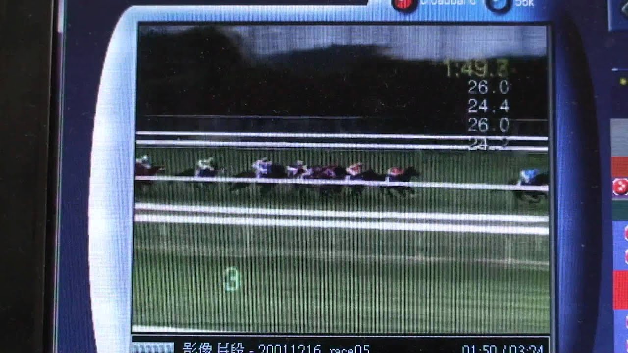 2001 Hong kong vase ステイゴールド黃金旅程Stay gold 英語Ver - YouTube