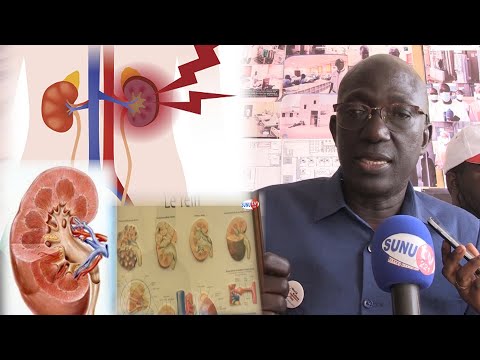 Les Risque D Insuffisance Rénale Selon Le Colonel Abdou Niang