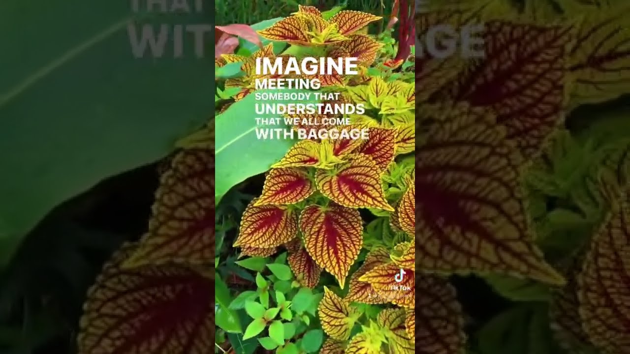 Someone that truly loves you, no matter the past. Unconditional Love