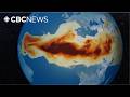 The hurricane killer: How Saharan dust is protecting coastlines