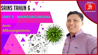 Sains Tahun 6 - Unit 3 MIkroorganisma (Bahagian 1) #AkademiYoutuber #kitabantukita