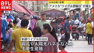 【日本に影響】アメリカ「ウイグル強制労働防止法」成立
