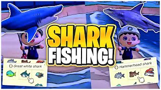 INSANE LUCK! How To Catch The Great White & Hammerhead Shark!  Animal Crossing New Horizons