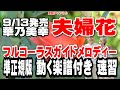 華乃美幸 夫婦花♭1 ガイドメロディー準正規版(動く楽譜付き)