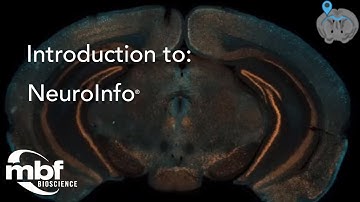 Introduction to NeuroInfo