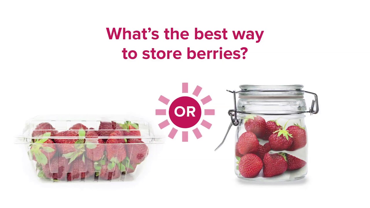 Shoppers Say This Nifty Container Is a 'Money Saver,' and Can Keep Berries  Fresh for '5 Weeks