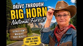 Bighorn National Forest Scenic Drive | One of Wyoming's BEST Hidden Gems!
