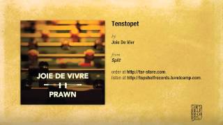 Video thumbnail of ""Tenstopet" by Joie de Vivre"