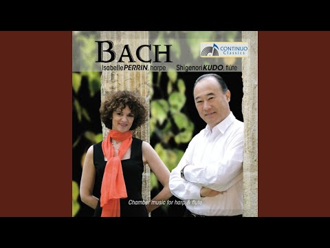 Violin Sonata In G Minor, BWV 1020: I. Allegro. Moderato (Arr. For Harp And Flute)