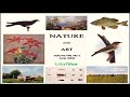 Nature and Art, Vol. VIII, No 1, June 1900 by VARIOUS read by Various | Full Audio Book
