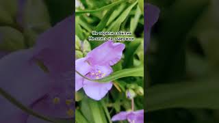 Не торопи события.#красотадуши #природа #мудрость #душадух #love