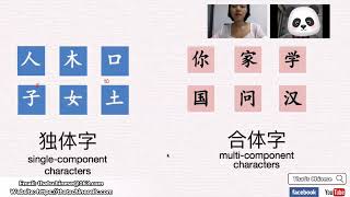 Chinese Character Course汉字课 S Chinese