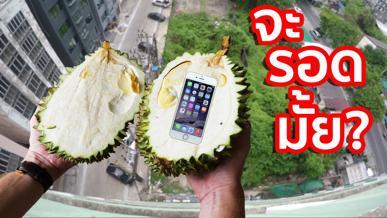 ทุเรียนปกป้อง iPhone จากตึก 9 ชั้นได้หรือไม่?!!!