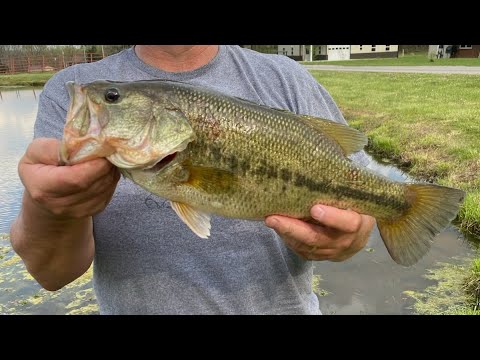 Winning big bass on our trip to a new body of water. 🏆
