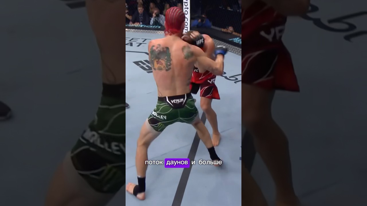 Шон Омейли vs Мераб Двалишвили !