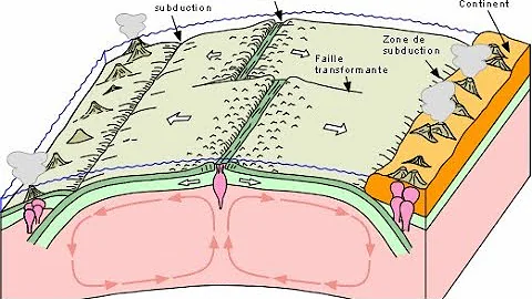 Qu'est-ce qu'une marge continentale passive ?