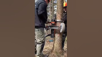 Best Automatic Tree Pruning Device Ever