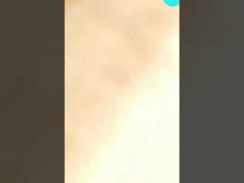 Beirut's explosion in 7 angels
