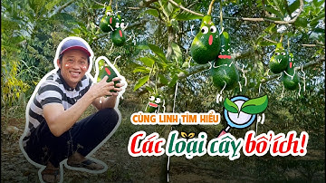 Ra vườn tìm "tuổi thơ" | Bốn Ròm Channel | Hoài Linh