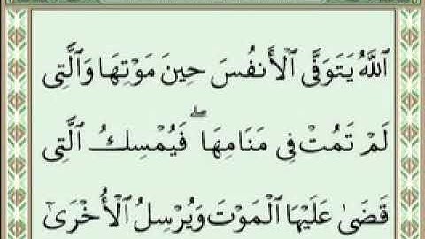 Surah az-zumar sudais - سورة الزمر سديس 39