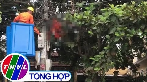 THVL | Công nhân điện lực tử nạn thương tâm trong lúc sửa chữa điện