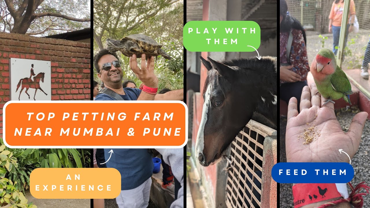 Find the BEST Petting Farm for Kids Near Mumbai & Pune NOW
