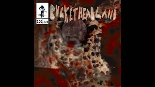 Buckethead - Scrapbook Front Part 7