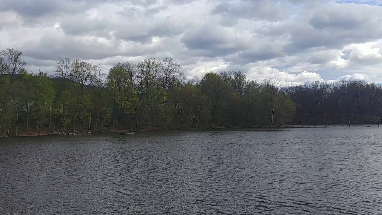 Lower Mill Pond 5/4/2020