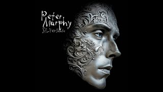 Peter Murphy - Silver Shade album review (2025 Goth Rock) Net Worth