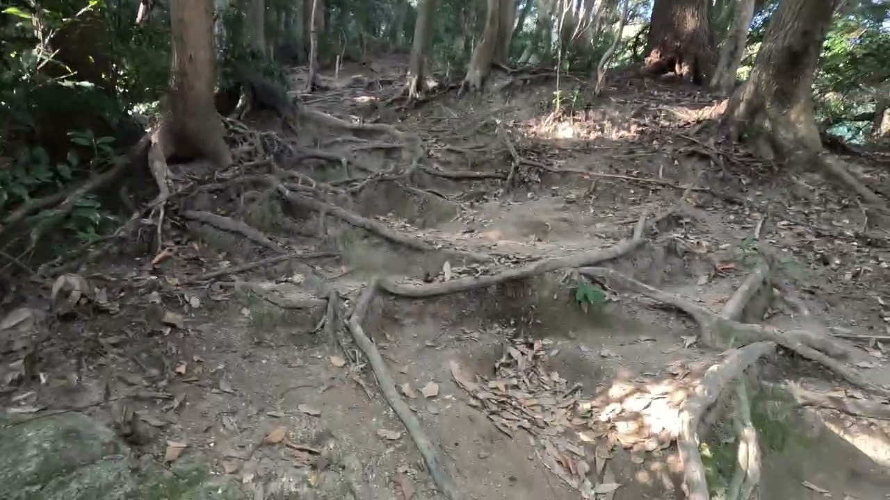 じいさんpo：本編２／３