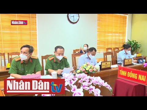 Video Cần xử phạt hành chính với các vi phạm quyền sở hữu... - youtube