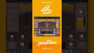 Transforming the Past: Stefano Lucatos Epic Sax Performance with SWAM Technology